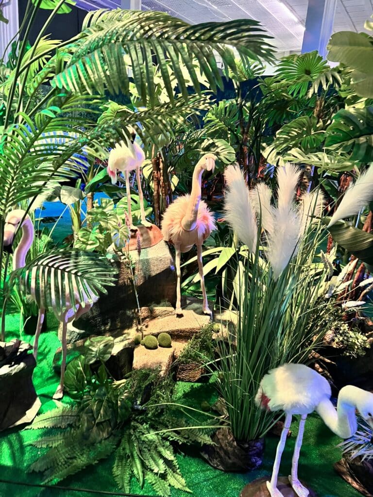 Jost in the jungle Lugano