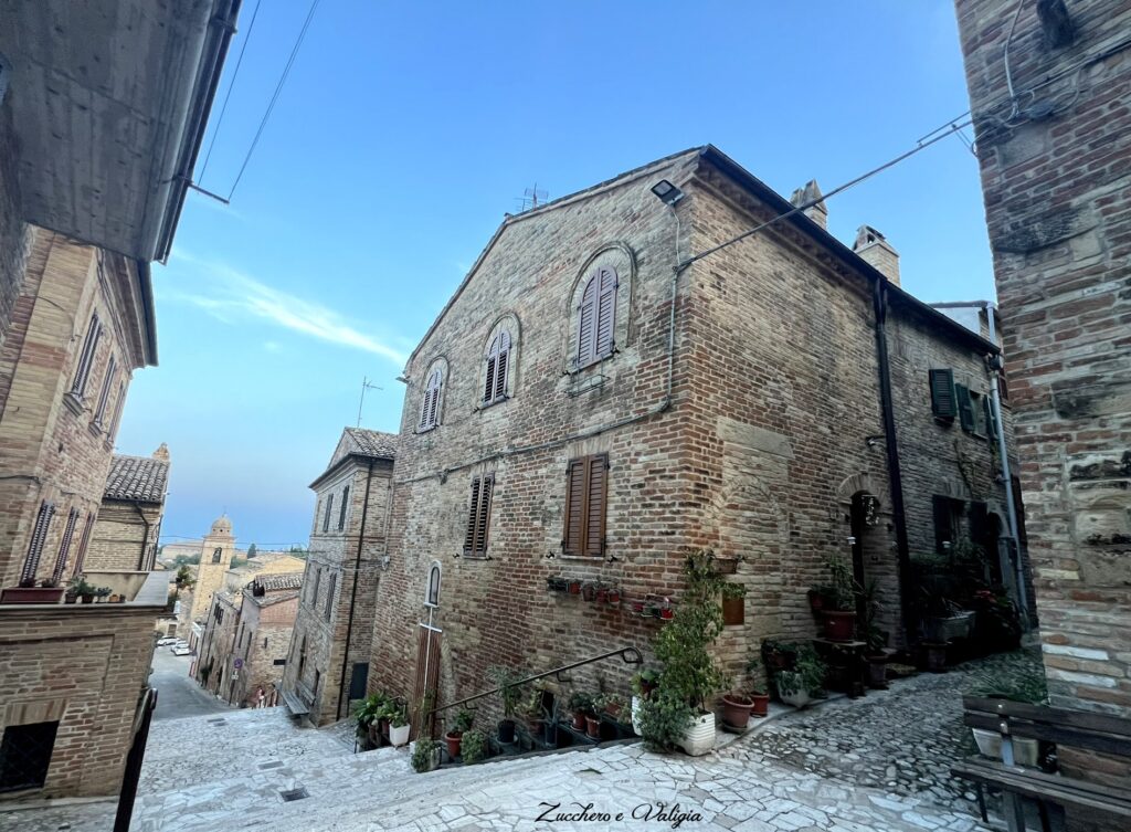 Parco Avventura Ripatransone 6