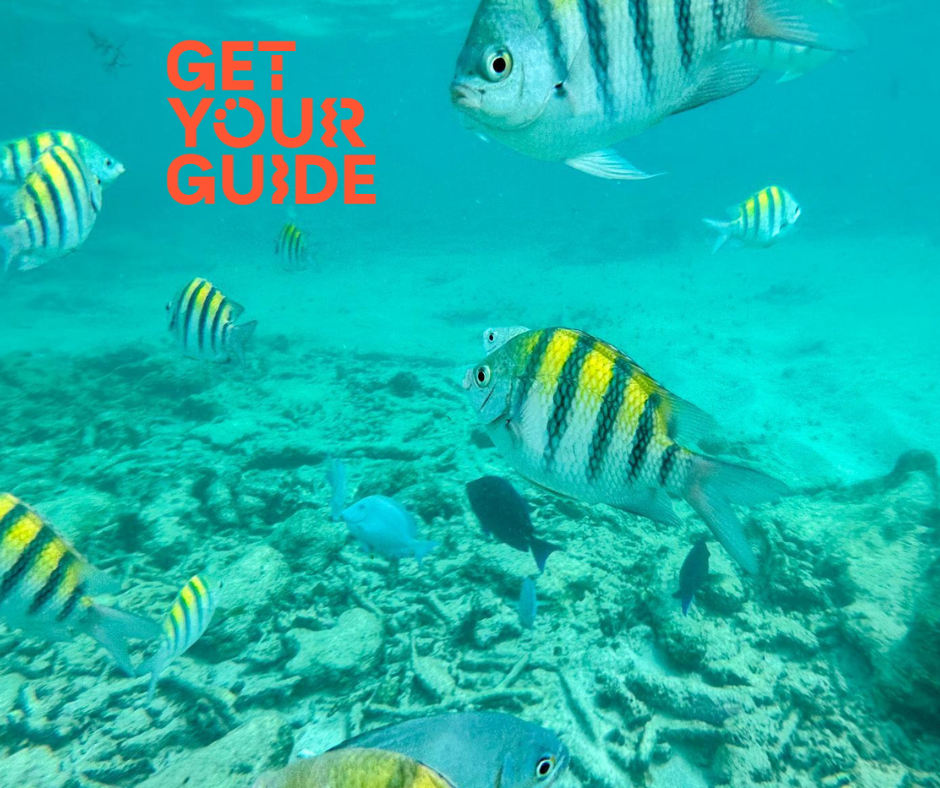 GetYourGuide come prenotare esperienze family 7 getyourguide esperienze family