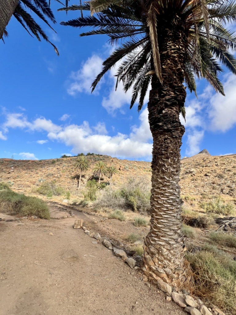 Fuerteventura con i bambini: 15 posti imperdibili da vedere 40 Come raggiungere Arco de Las Arco de las Peñitas